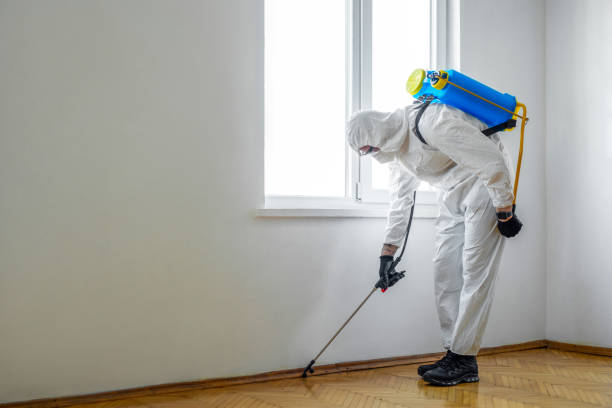 Best Mosquito Control Services  in North College Hill, OH