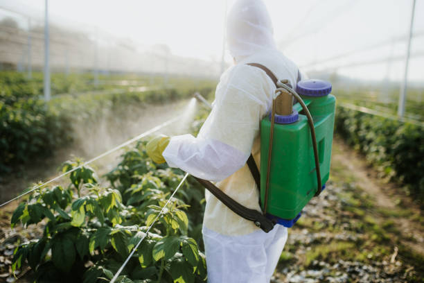 Best Best Pest Control Companies  in North College Hill, OH